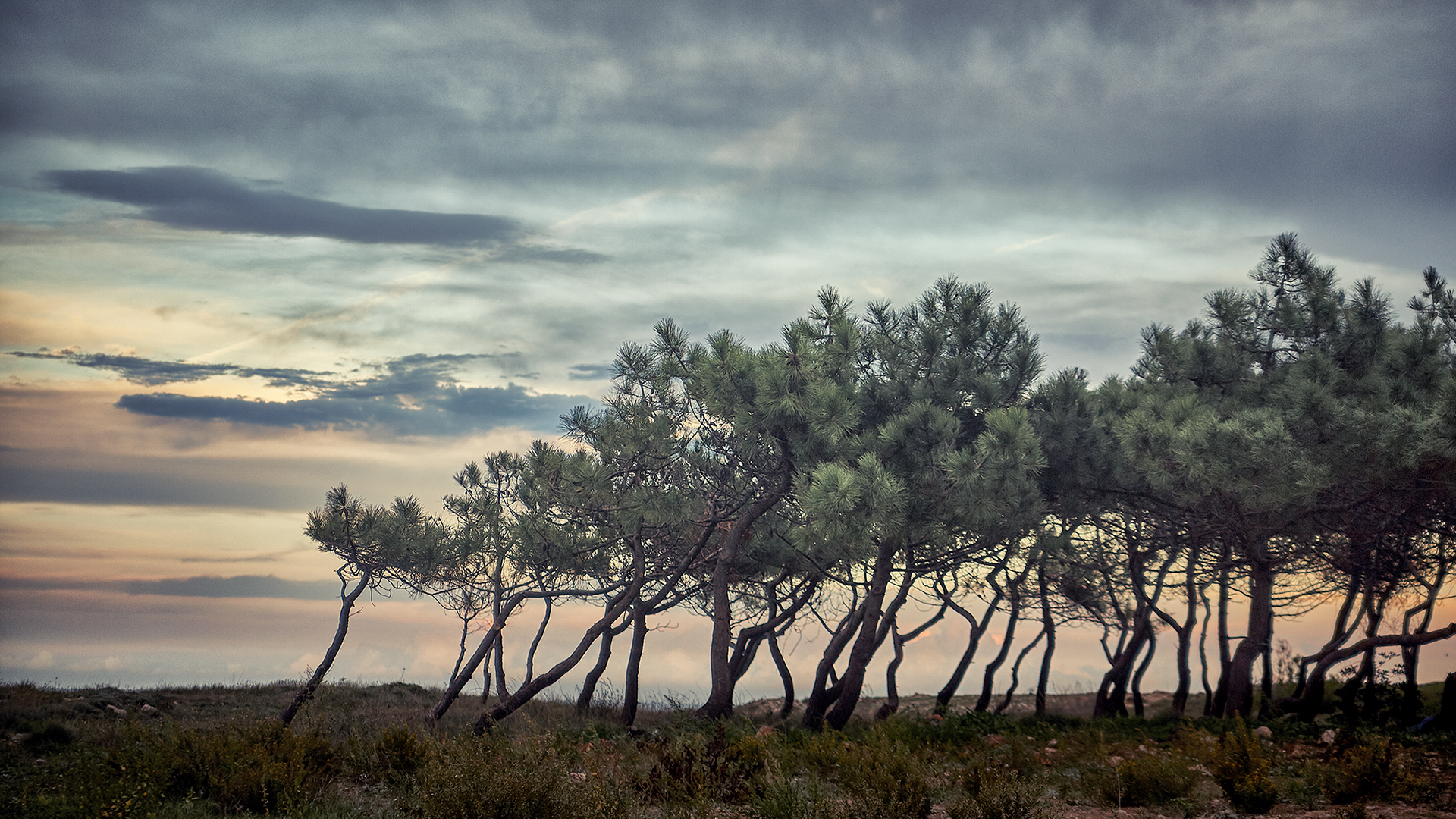 Landscapes | Пейзажи
