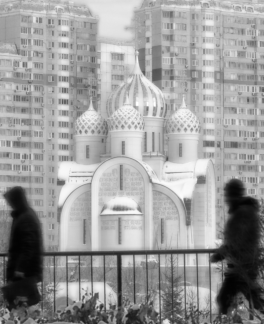 Павшино 8474